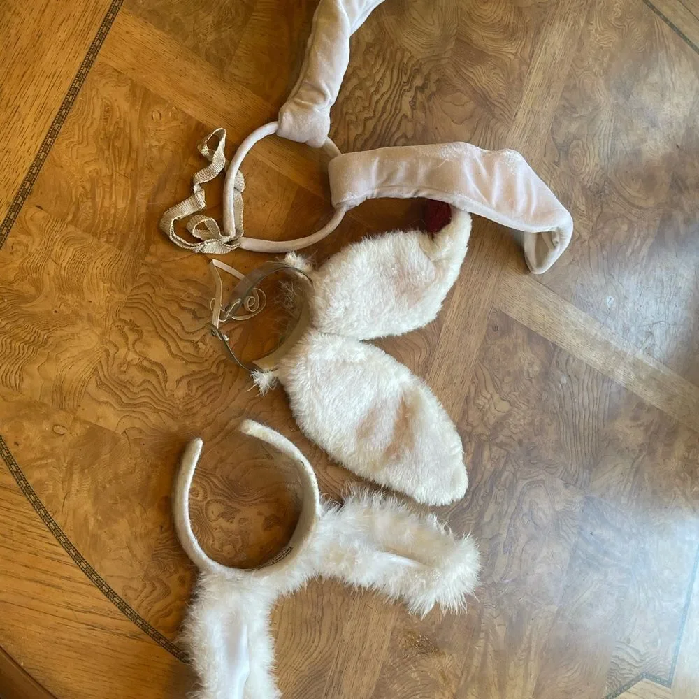 🐰 - 3 🎃 SETS of Bunny Ears!